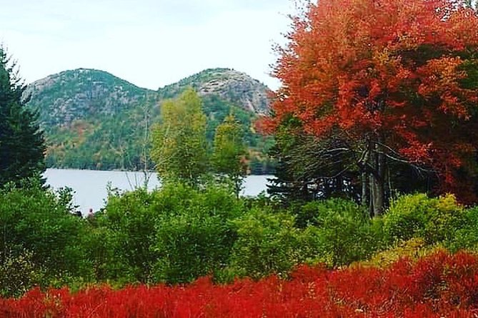 Narrated Bus Tour of Bar Harbor and Acadia National Park - Sieur de Monts Spring and the park’s starting point