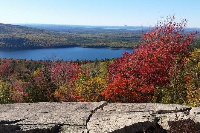 Narrated Bus Tour of Bar Harbor and Acadia National Park - The narration may be the best part