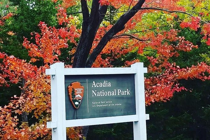 Narrated Bus Tour of Bar Harbor and Acadia National Park - Weather, closures, and other things outside your control