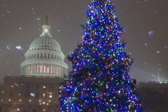 National Mall Monuments Night Tour with 10+ Stops, Entry Tickets - Martin Luther King Jr. Memorial