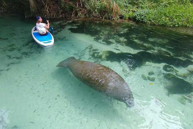 Nature & Island Exploration on SUP/Kayak - What matters most before you book