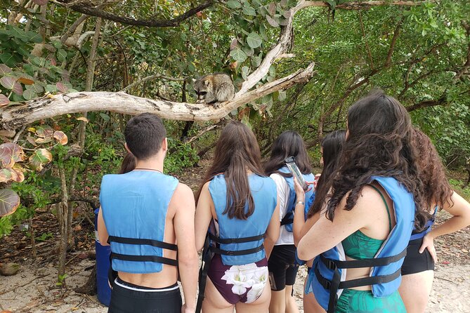 Nature & Island Exploration on SUP/Kayak - Starting at Venetian Marina at 1:30 p.m.