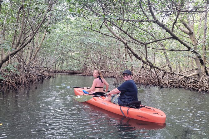 Nature & Island Exploration on SUP/Kayak - Raccoon Island and the close-up wildlife moment