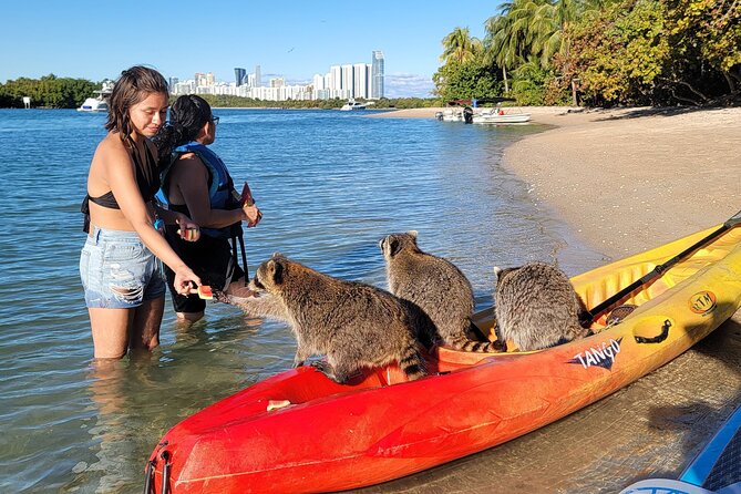 Nature & Island Exploration on SUP/Kayak - Food, drinks, swimming, and comfort
