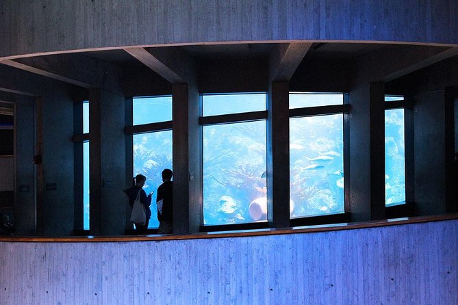 New England Aquarium Admission Ticket in Boston - New England Aquarium at a glance