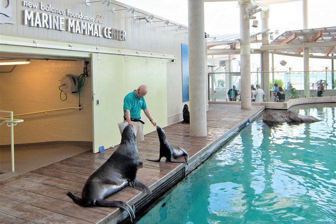 New England Aquarium Admission Ticket in Boston - Entering the aquarium on Boston Harbor