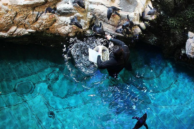 New England Aquarium Admission Ticket in Boston - Touch pools and smaller animals