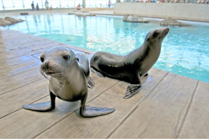 New England Aquarium Admission Ticket in Boston - Who will enjoy this Boston attraction?