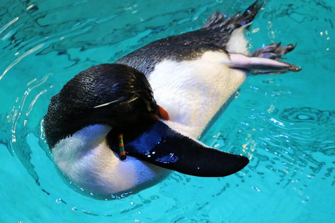 New England Aquarium Admission Ticket in Boston - Booking, cancellation, and practical details