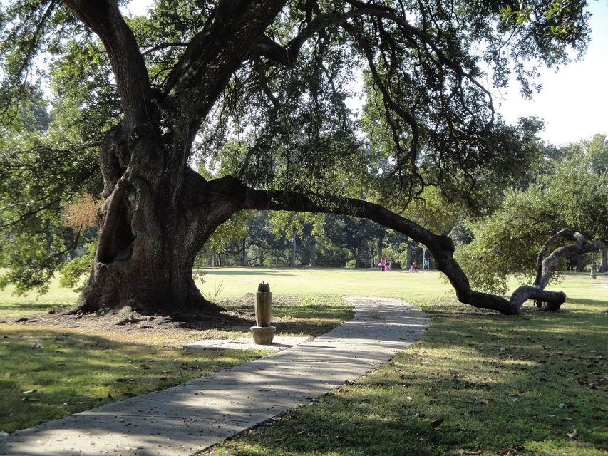 New Orleans: 2-Hour 15-Minute City and Cemetery Tour by Bus - Key Things To Know Before You Go