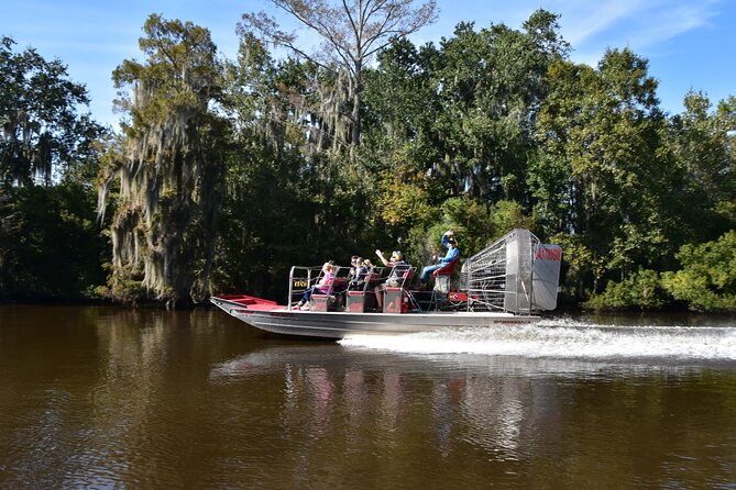 New Orleans Airboat Ride - What you might see in summer and winter