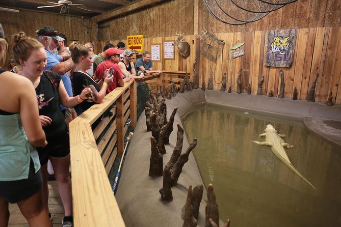 New Orleans Airboat Ride - What happens after the boat returns