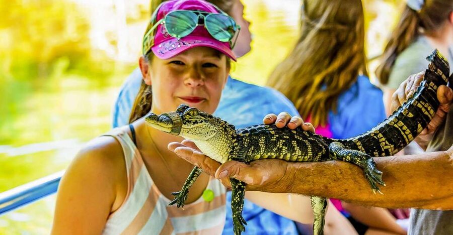 New Orleans: Bayou Swamp Tour and Oak Alley Plantation Tour - Key things to know before booking