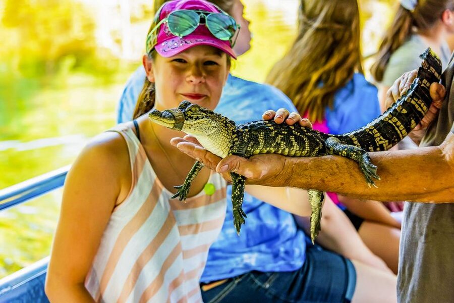 New Orleans: Bayou Swamp Tour and Oak Alley Plantation Tour - Getting out of New Orleans by shuttle bus