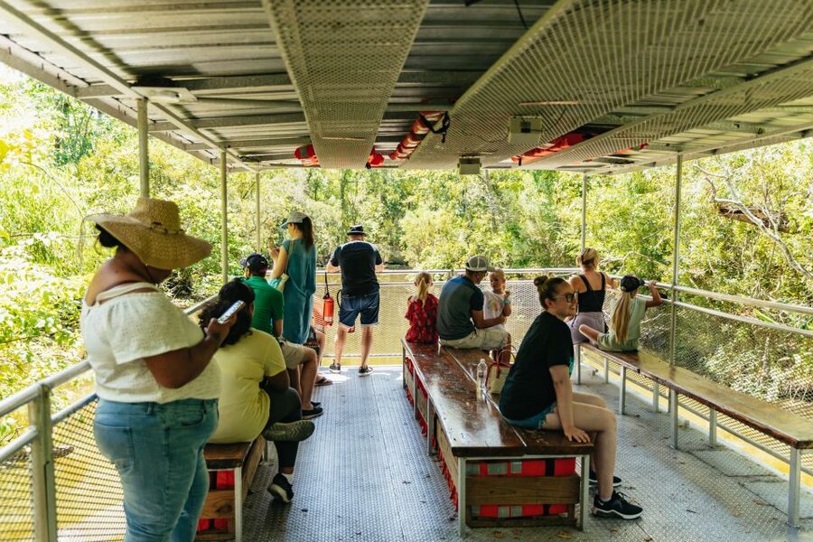 New Orleans: Bayou Tour in Jean Lafitte National Park - Reaching Barataria Preserve From New Orleans