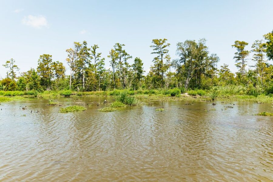 New Orleans: Bayou Tour in Jean Lafitte National Park - Lunch After the Boat Ride