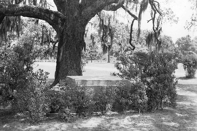 New Orleans Dead of Night Ghosts and Cemetery Bus Tour - Other burial grounds, Katrina, and the darker side of the city