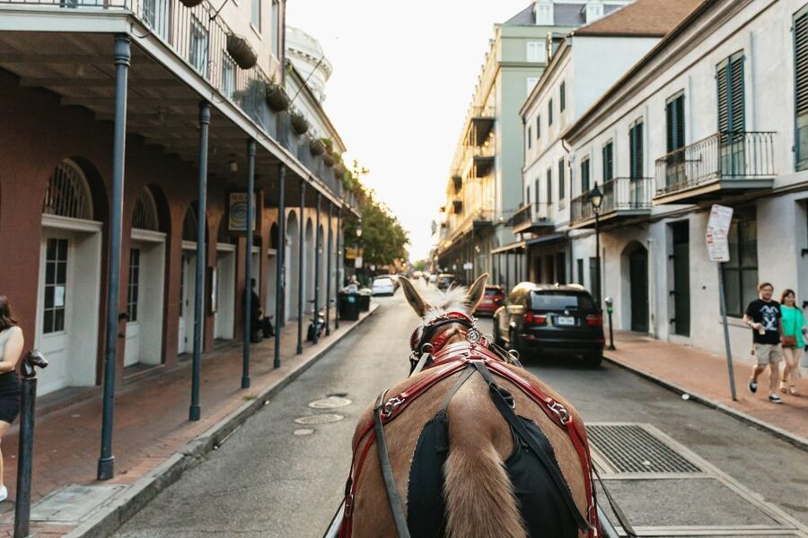 New Orleans: French Quarter Sightseeing Carriage Ride - Napoleon House and the stories behind the buildings