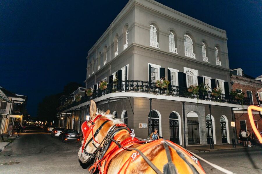 New Orleans: French Quarter Sightseeing Carriage Ride - Animal welfare and what the ride feels like