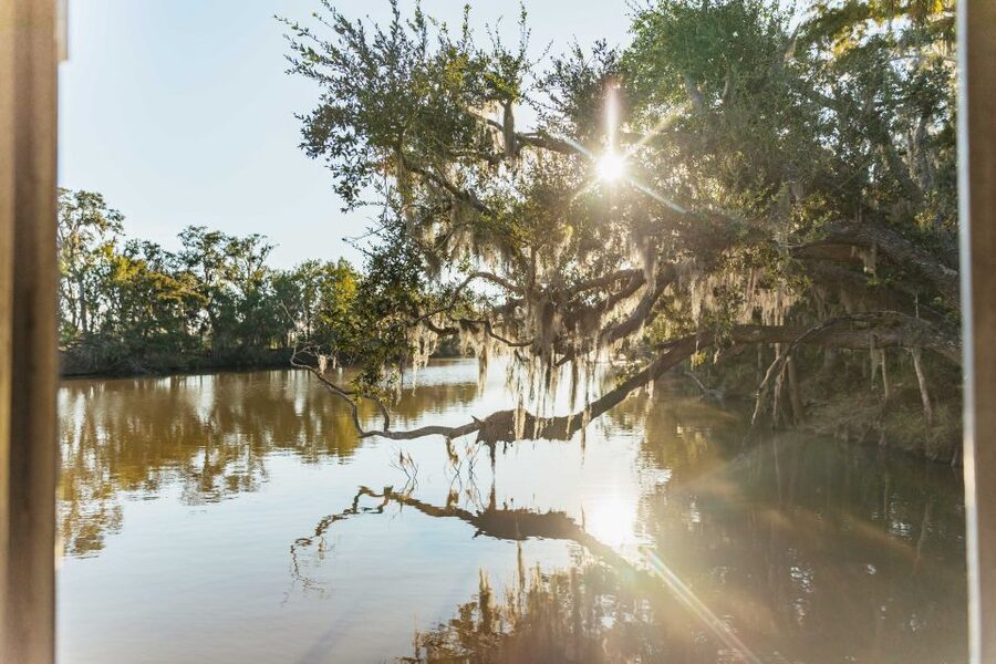 New Orleans: Guided Swamp Cruise by Tour Boat - Key details to know before you book