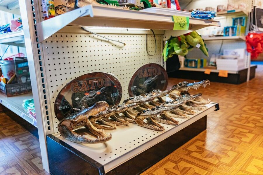 New Orleans: Guided Swamp Cruise by Tour Boat - What the captain adds to the ride