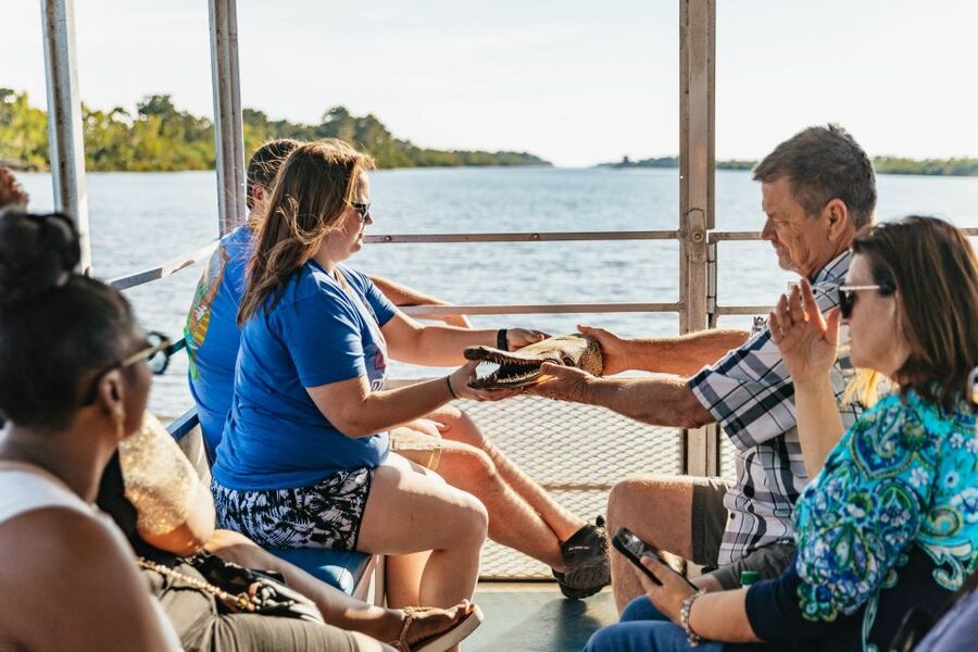 New Orleans: Guided Swamp Cruise by Tour Boat - Comfort, weather, and the family factor