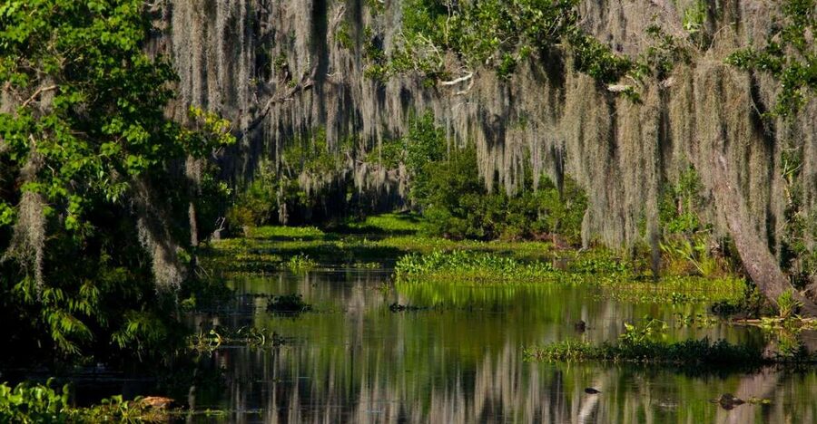New Orleans: High Speed 16 Passenger Airboat Ride - Leaving New Orleans for the Louisiana wetlands