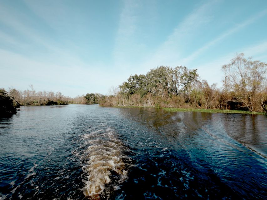 New Orleans: High Speed 16 Passenger Airboat Ride - Price, timing, and what $65 really buys