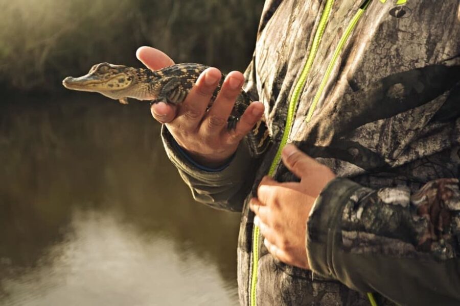 New Orleans: High Speed 16 Passenger Airboat Ride - Who will enjoy this New Orleans day trip?