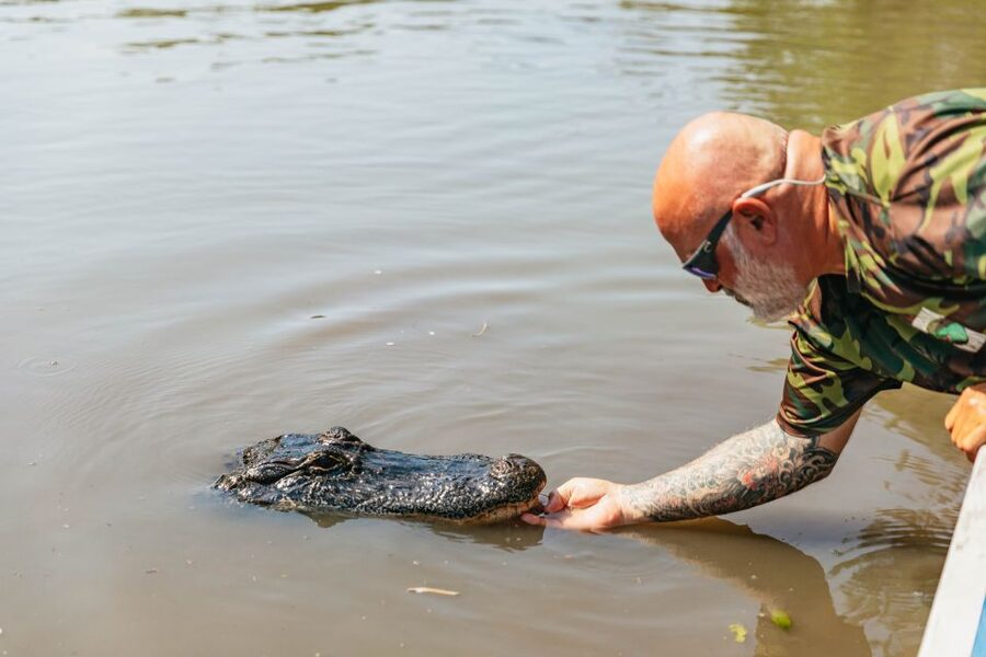 New Orleans: High Speed 9 Passenger Airboat Tour - Who should book this airboat tour?