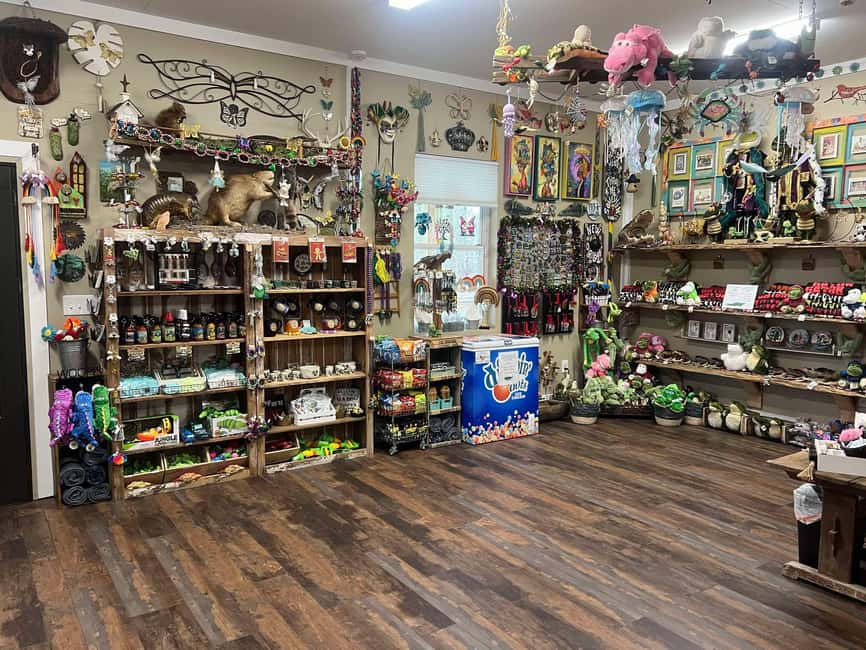 New Orleans Manchac Bayou Swamp Cruise W/ Optional Pick-Up - What animals might you see?