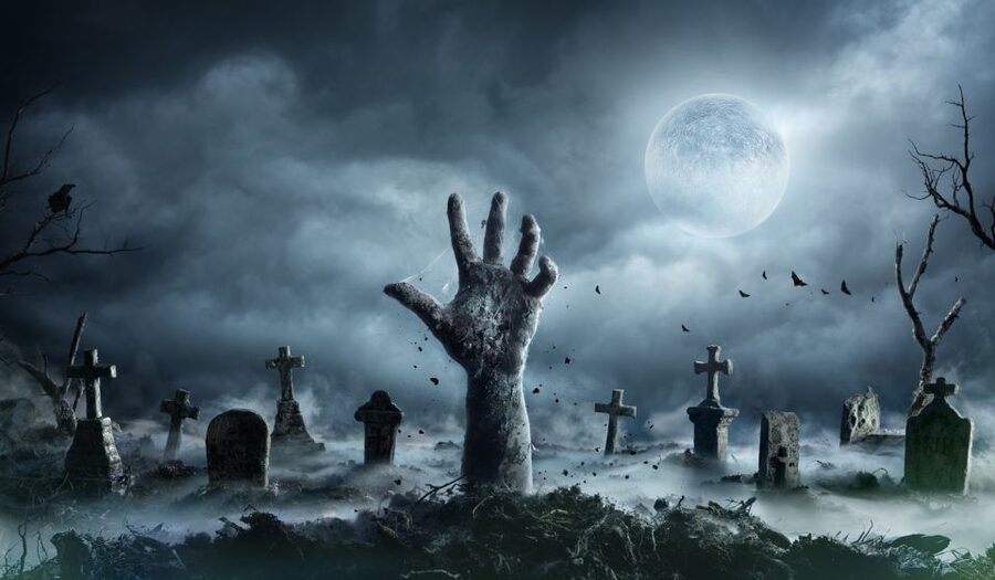 New Orleans: Night Cemetery and Ghost BYOB Bus Tour - Why New Orleans cemeteries make a strong setting