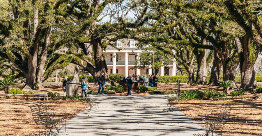 New Orleans: Oak Alley Plantation & Airboat Swamp Combo Tour - What makes this Louisiana day trip worthwhile