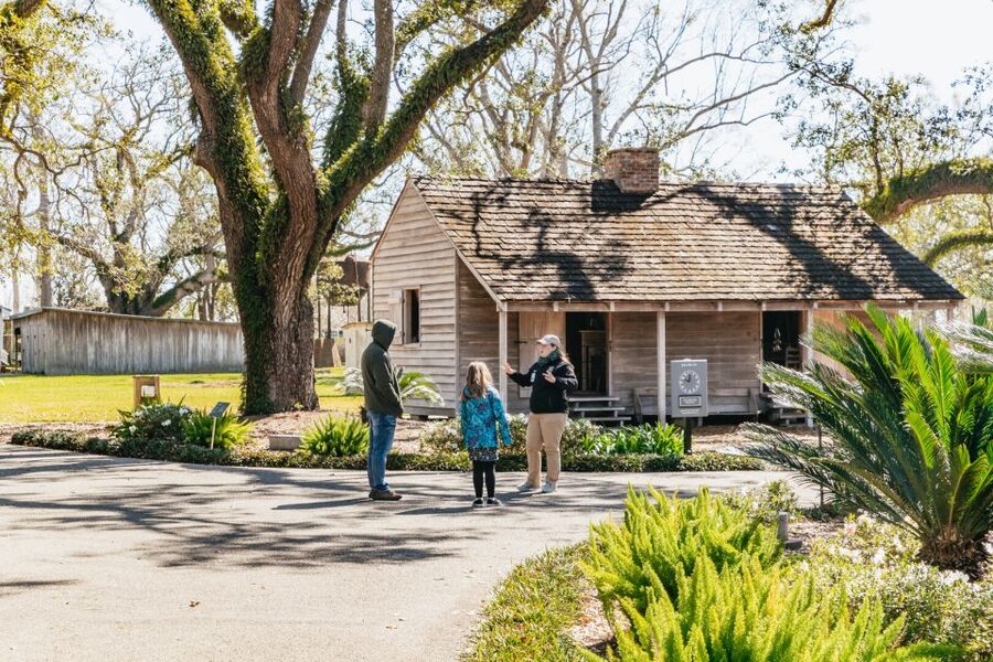 New Orleans: Oak Alley Plantation & Airboat Swamp Combo Tour - Should you book the Oak Alley and swamp combo?