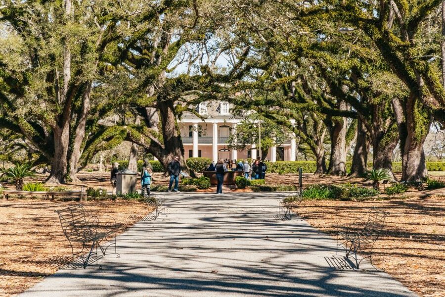 New Orleans: Oak Alley Plantation & Airboat Swamp Combo Tour - Understanding Oak Alley beyond the postcard view