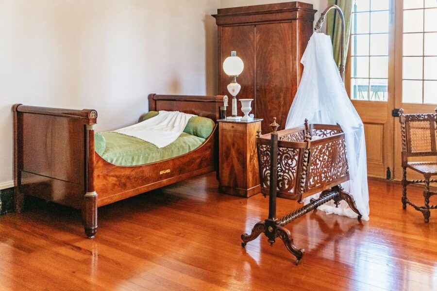 New Orleans: Oak Alley Plantation & Airboat Swamp Combo Tour - Trading oak trees for the Barataria Basin