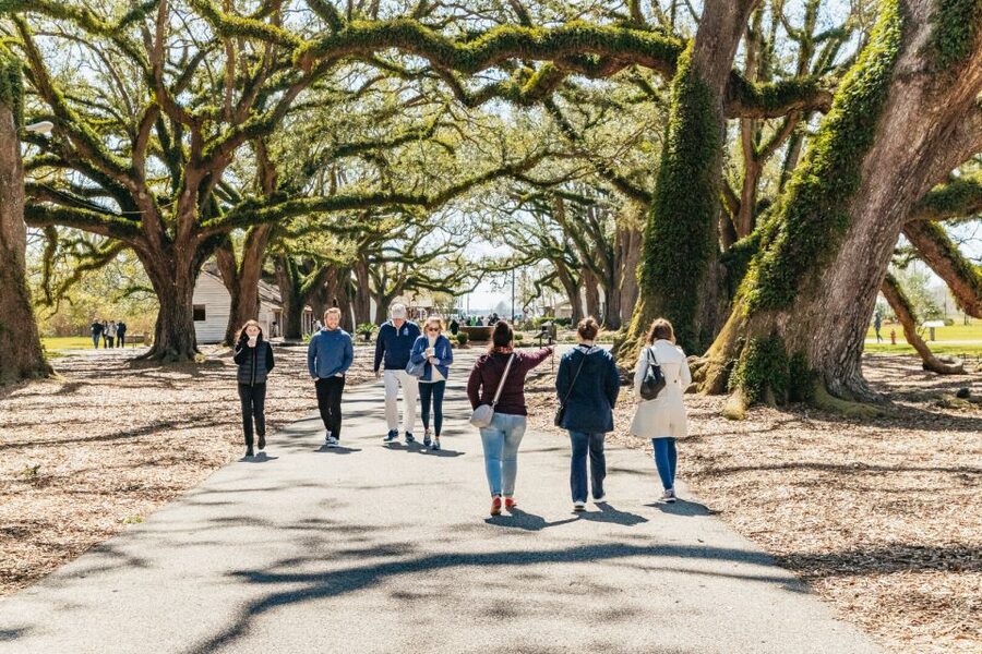 New Orleans: Oak Alley Plantation & Airboat Swamp Combo Tour - Who should book this experience?