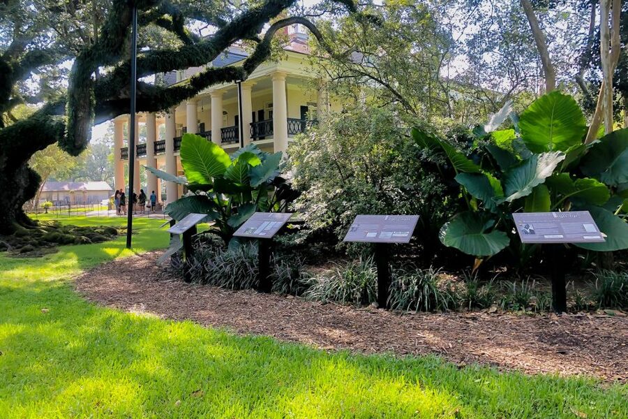 New Orleans: Oak Alley Plantation Tour with Transportation - Sugarcane, blacksmithing, and the changing estate
