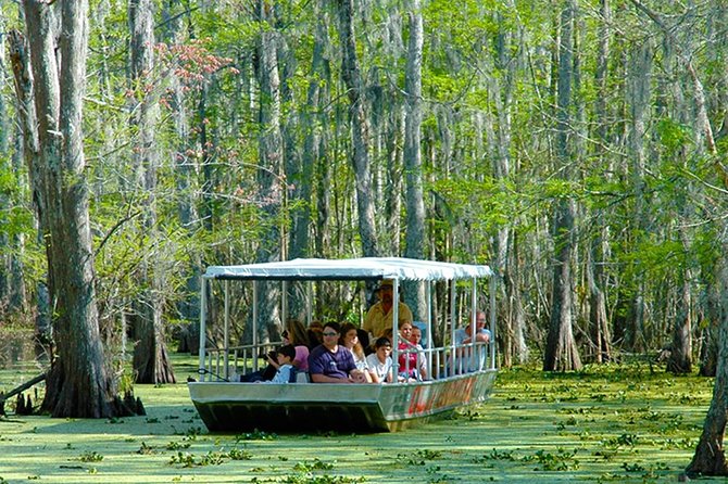 New Orleans Self-Transport Swamp and Bayou Boat Tour - Why Honey Island Swamp is worth the drive