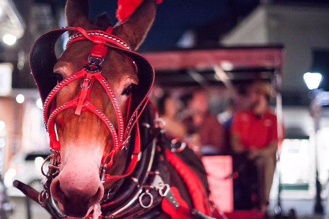 New Orleans Small-Group Haunted History Carriage Tour - Why this carriage ride works at night