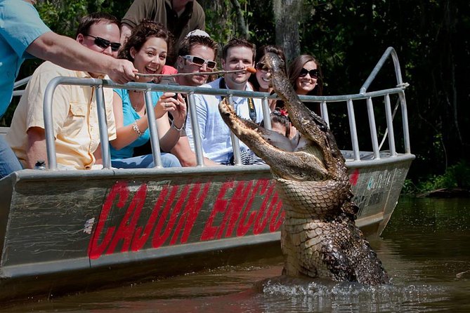 New Orleans Swamp and Bayou Boat Tour with Transportation - Key points to know before you book