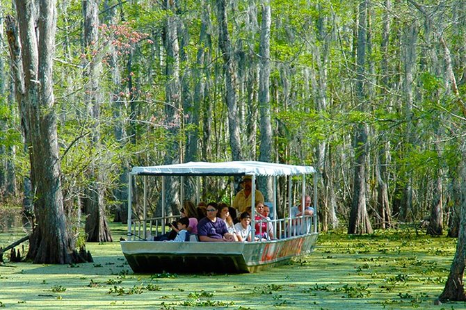 New Orleans Swamp and Bayou Boat Tour with Transportation - The boat-accessible Cajun village