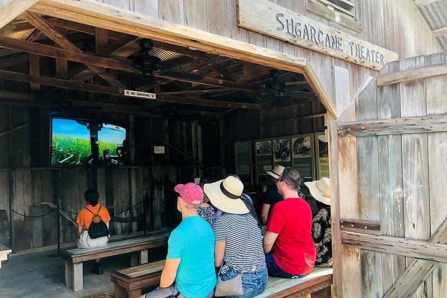 New Orleans: Swamp Boat Ride & Oak Alley Plantation Tour - From plantation roads to Manchac Swamp