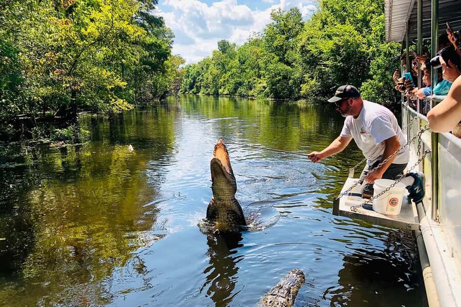 New Orleans: Swamp Boat Ride & Oak Alley Plantation Tour - Leaving New Orleans with a narrated ride