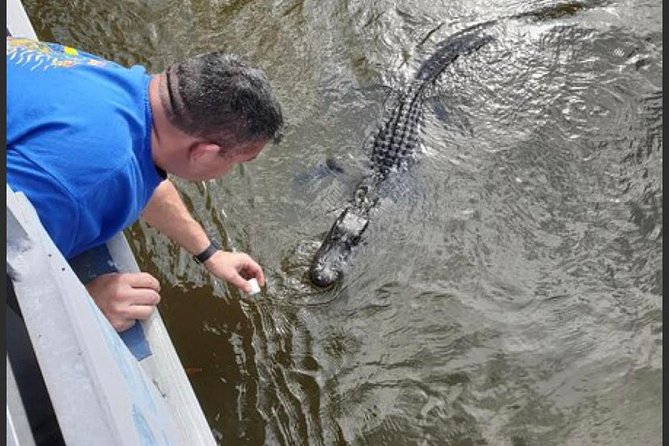 New Orleans Swamp Tour Boat Adventure - Guides make or break this excursion