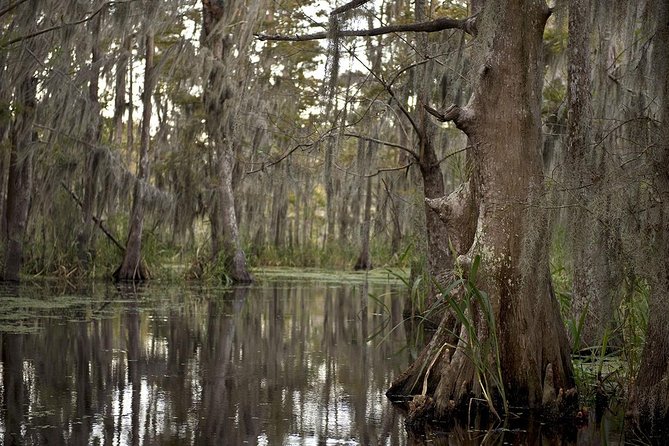 New Orleans Swamp Tour Boat Adventure - Meeting in Marrero and getting ready to board