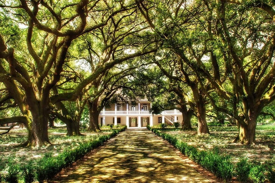 New Orleans: Whitney Plantation Tour with Transportation - Key points to know before you book