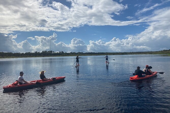 New Smyrna Dolphin and Manatee Kayak and SUP Adventure Tour - Starting at Divito Park in New Smyrna Beach