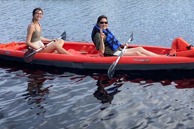 New Smyrna Dolphin and Manatee Kayak and SUP Adventure Tour - Who will enjoy this most?