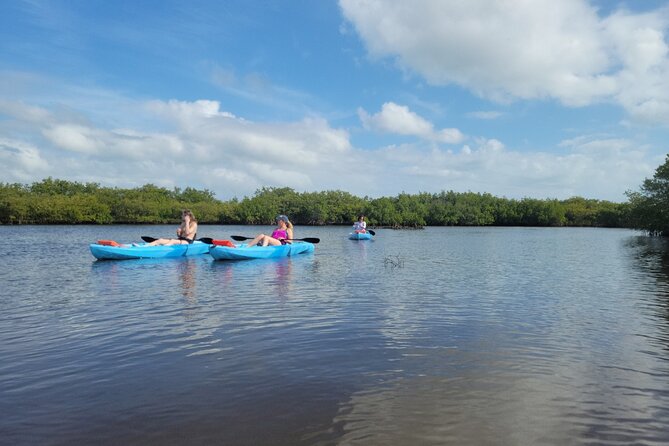 New Smyrna Dolphin and Manatee Kayak and SUP Adventure Tour - Kayak or stand-up paddleboard?